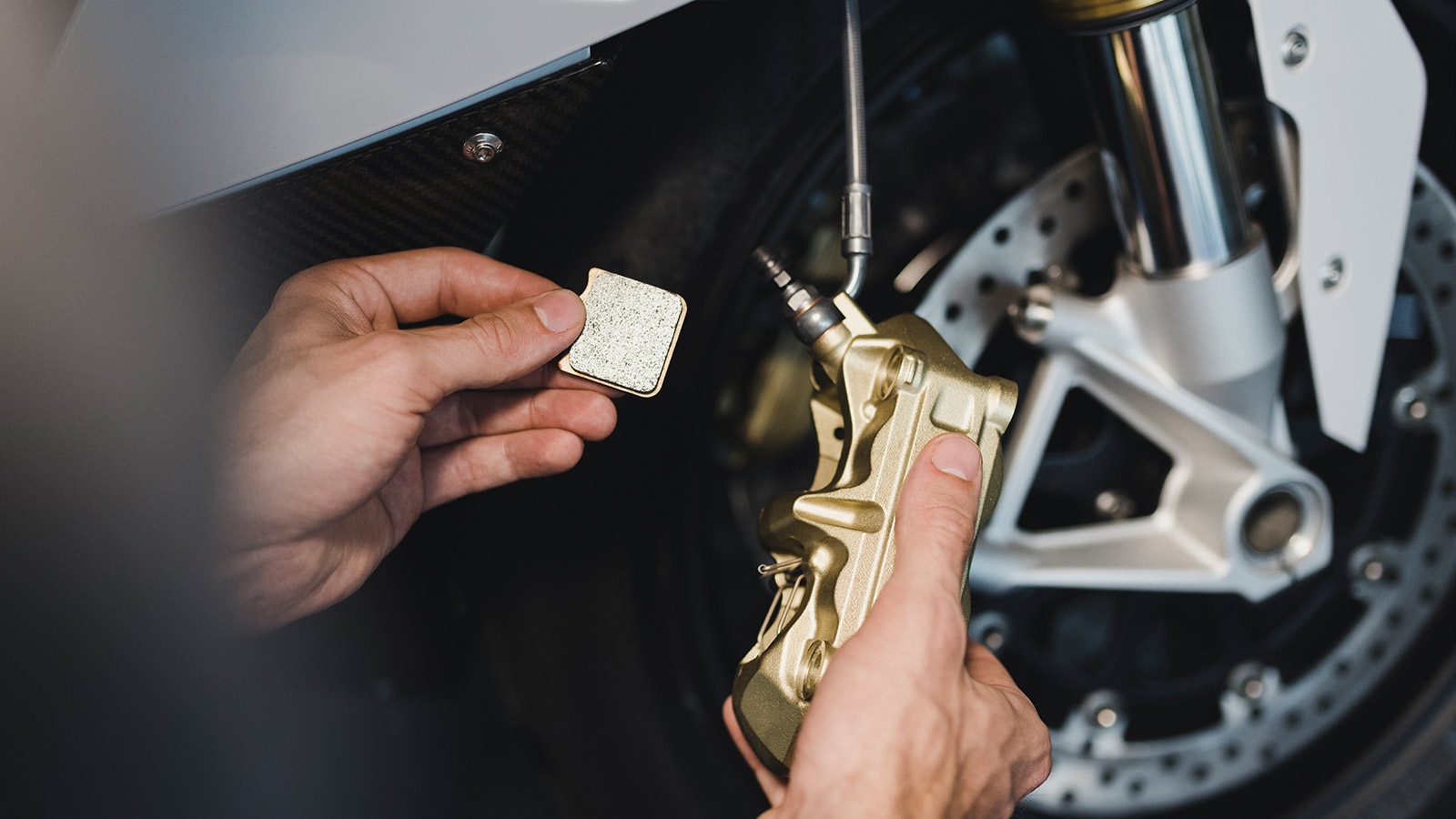 Dealer Search | BMW Motorrad